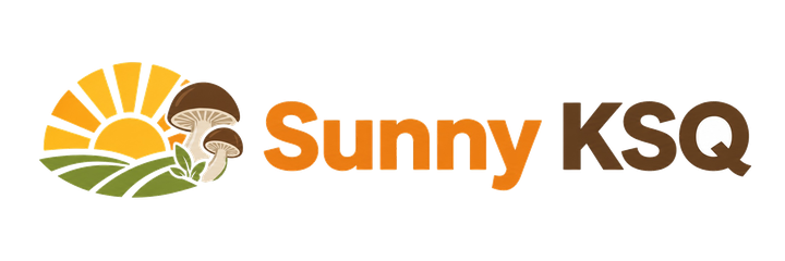 Sunny KSQ